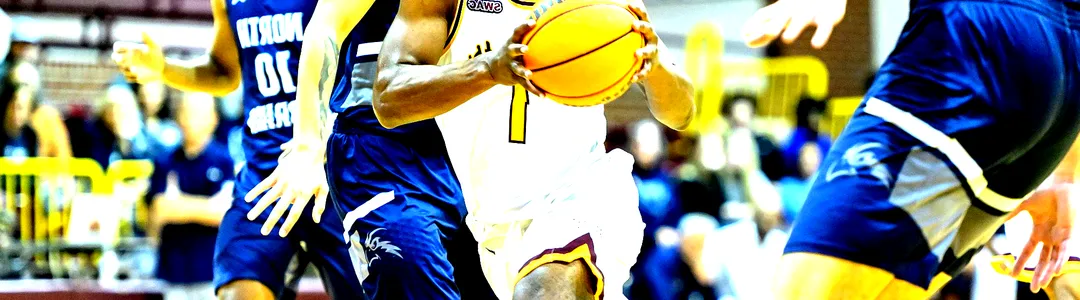 Bethune-Cookman Wildcats Basketball