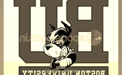 Boston University Terriers