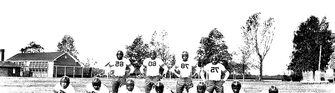 Delaware State Hornets Football