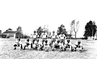 Delaware State Hornets Football