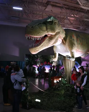 Dinosaur Adventure (Multiple Dates and Times)