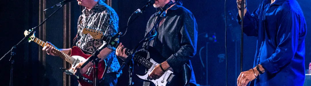 Eaglemania - Tribute To The Eagles