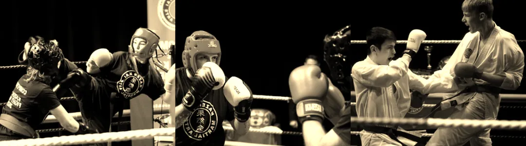 Fight Night