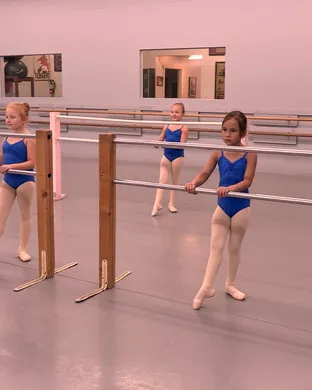 Manassas Ballet Theatre: Don Quixote