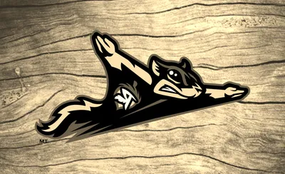 Richmond Flying Squirrels