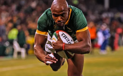 South Africa Springboks