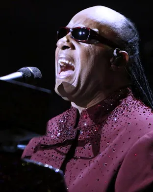 Stevie Wonder