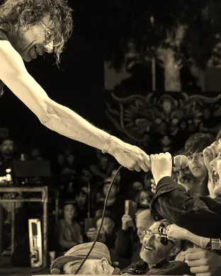 Subhumans Washington