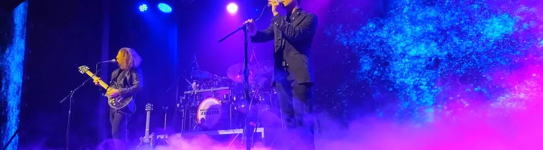 The Australian Bee Gees Show