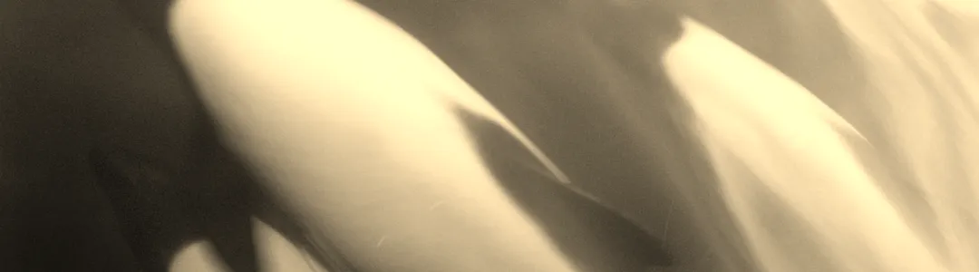 The Sea Beyond the Ocean