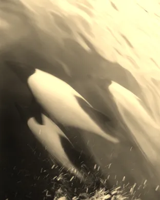 The Sea Beyond the Ocean