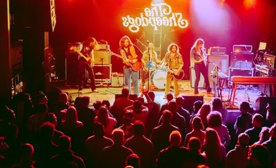 The Sheepdogs