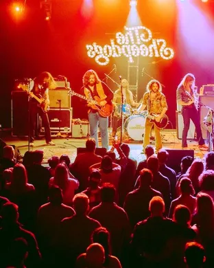 The Sheepdogs