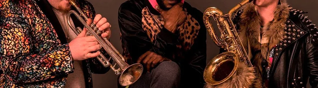 Too Many Zooz