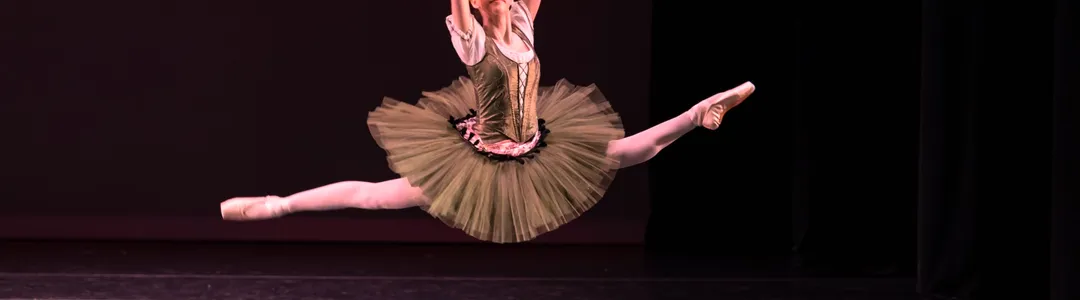 Virginia National Ballet