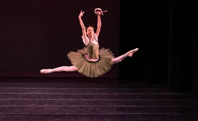 Virginia National Ballet