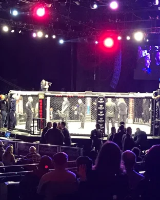 UFC Freedom 250 Fan Fest Washington