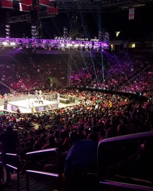 UFC Freedom 250 Fan Fest