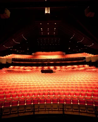 Victorian Lyric Opera Company: The Merry Widow theatre performance